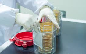 > </div>
<div class=